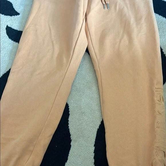Calvin Klein Beige Hoodie and Joggers Set - Picture 4 of 16